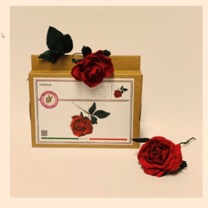 ATTIMI CREATIVI ROSA