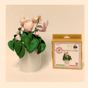 ATTIMI CREATIVI CICLAMINO