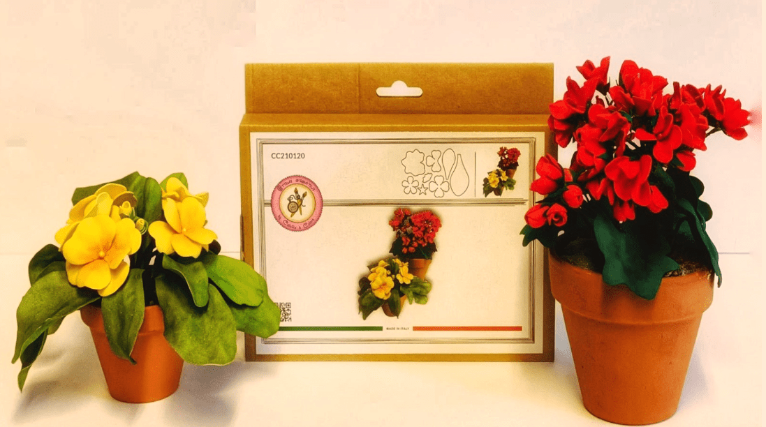 ATTIMI CREATIVI PRIMULA E GERANIO