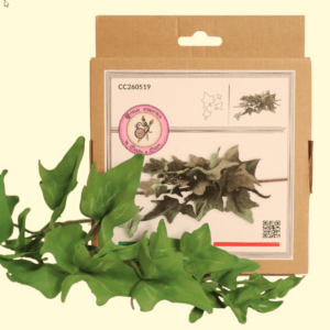 ATTIMI CREATIVI EDERA