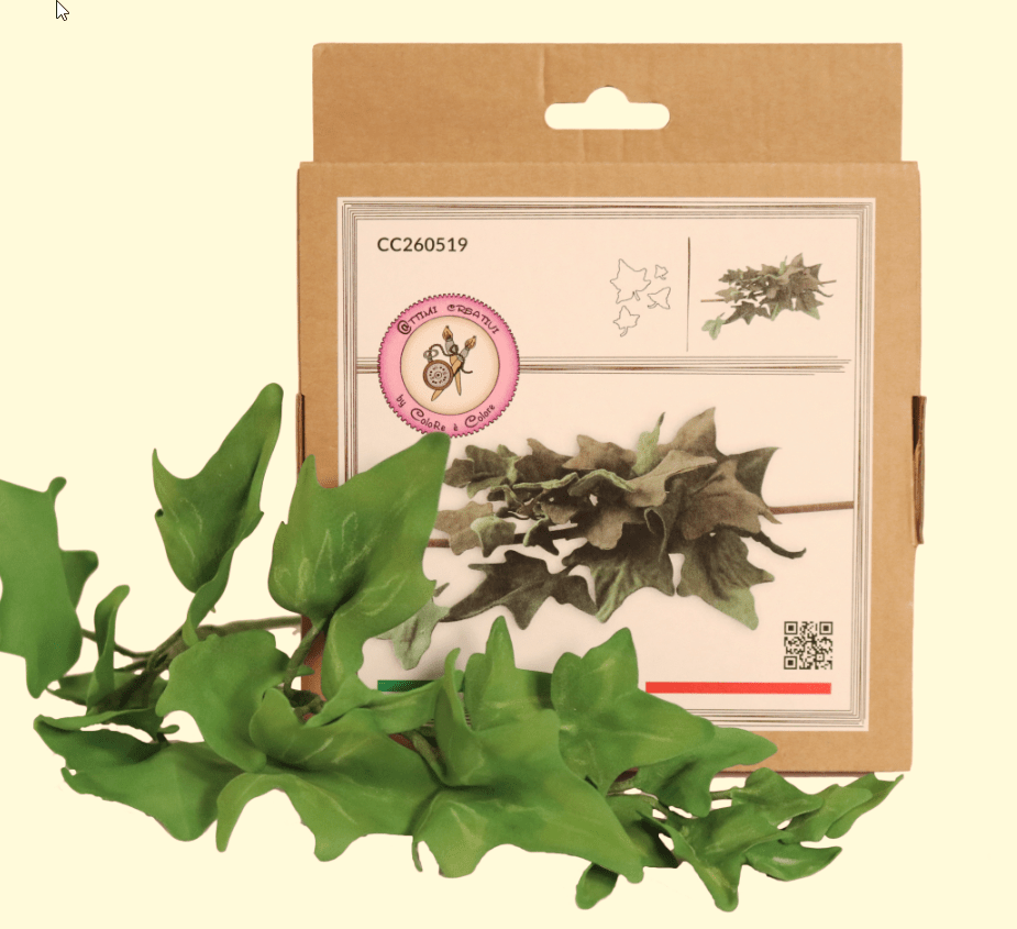 ATTIMI CREATIVI EDERA