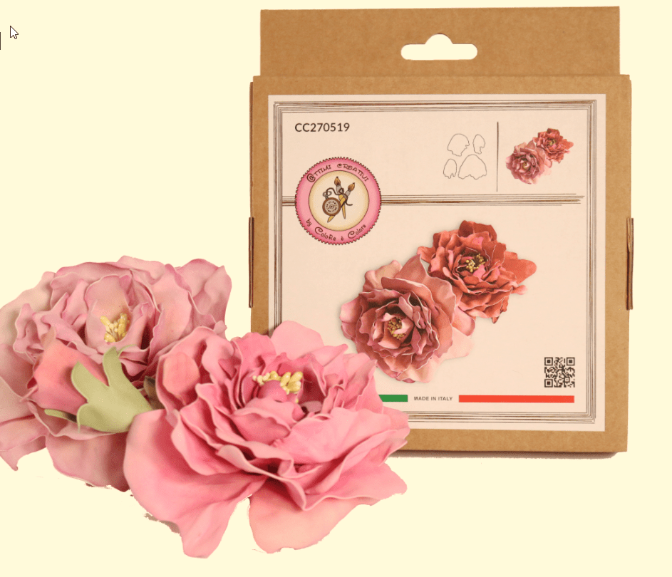 ATTIMI CREATIVI PEONIA