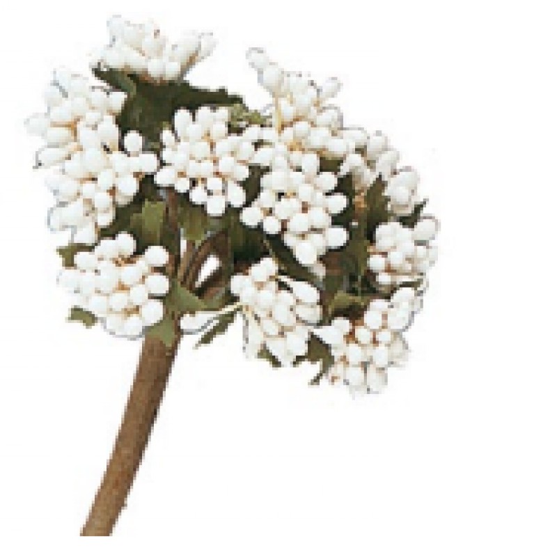 STAFIL MAZZOLINI CON PISTILLI E FOGLIE