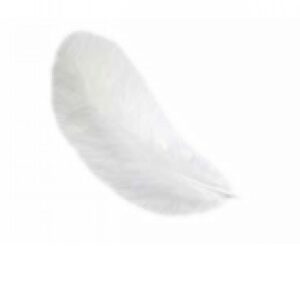 STAFIL PIUME 10 PZ-12 CM