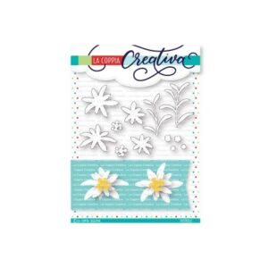 Coppia Creativa Stella alpina