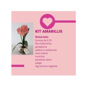Kit Amarillis