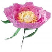 Sizzix  Wild Peony